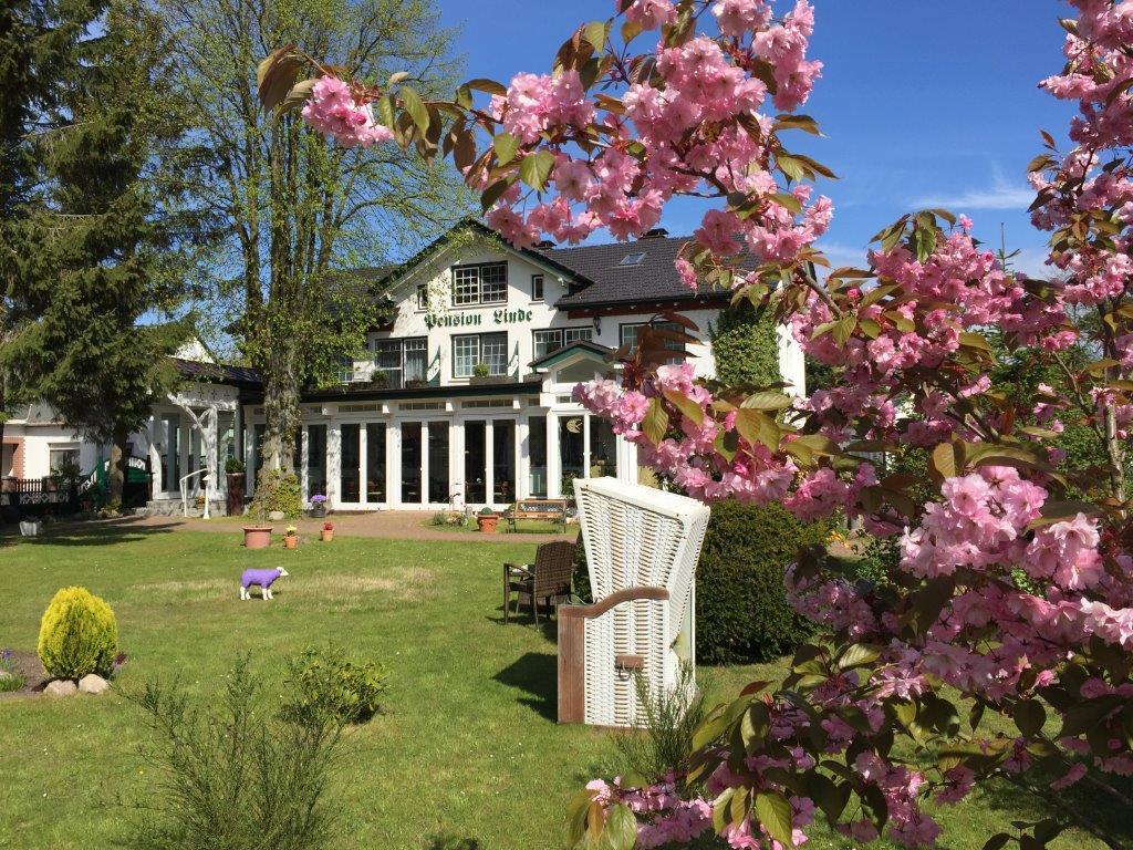 Pension Linde Prerow Exterior foto